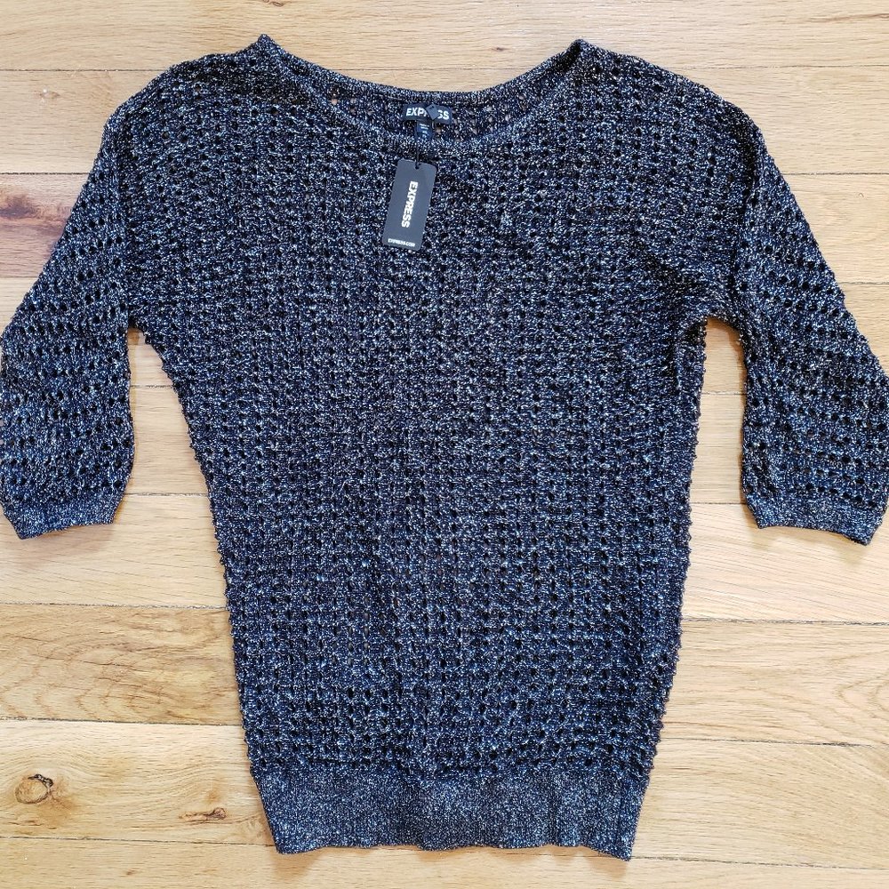 Express NEW Metallic Mesh Pullover Sweater